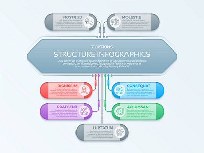 信息模板与7结构元素的业务组织