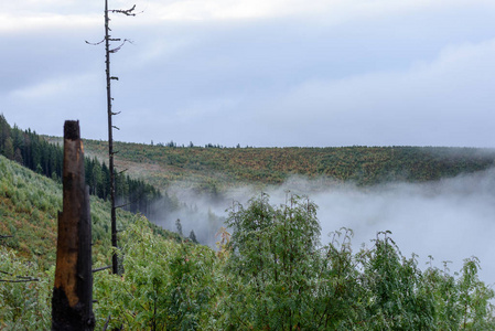 在斯洛伐克 tatra 潮湿山区的晨雾。autu