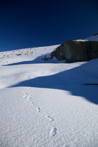 雪坡上的踏痕