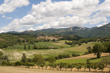 拉齐奥和翁布里亚意大利之间夏季的景观