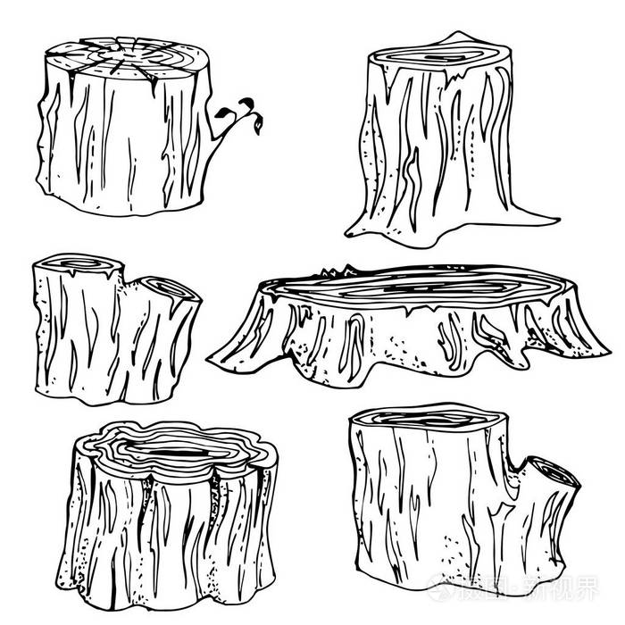 树桩handdrawn 套装