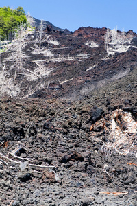 火山埃特纳西西里岛斜坡上的硬化熔岩流