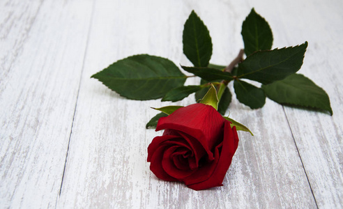 桌上的红玫瑰