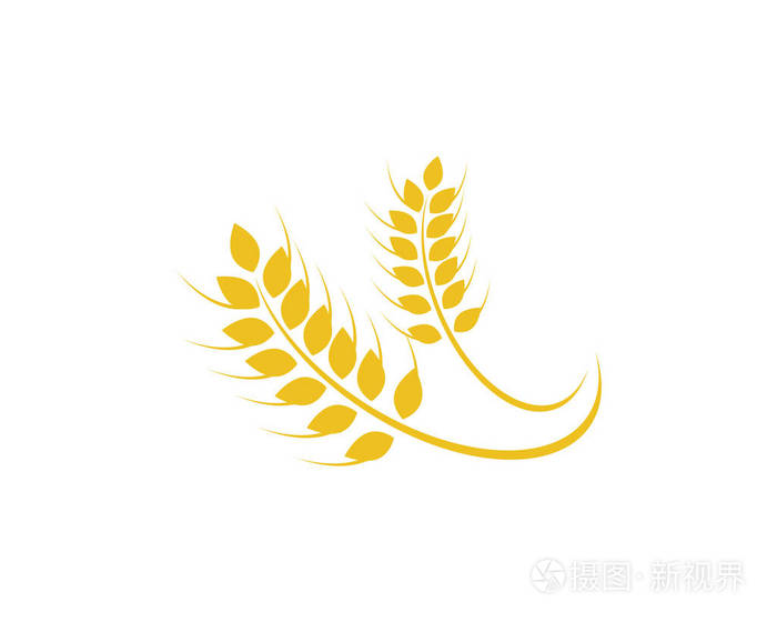 农业小麦 logo 模板矢量图标设计
