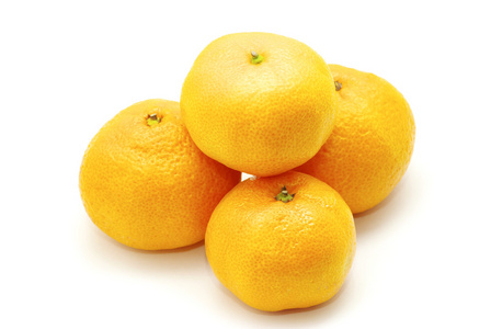 橘
