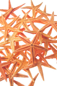 孤立在白色背景上的 starfishes