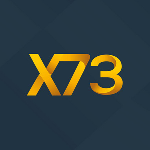联名字母徽标 X73