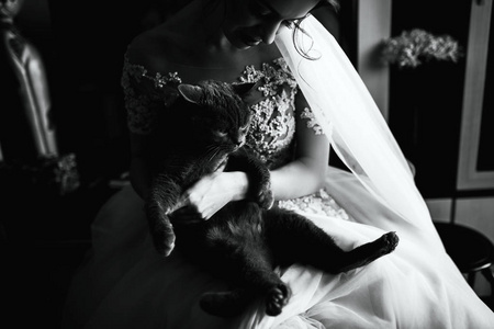 年轻美丽的新娘与灰色的猫在她的怀里