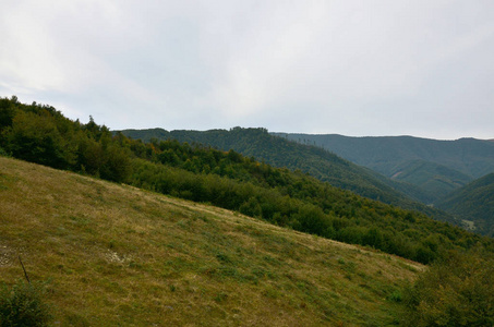 乌克兰喀尔巴阡山山区地形的碎片。这片森林被一座被山脉的浮雕所宽恕