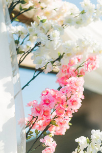 樱花花塑料美丽的背景粉红色和白色