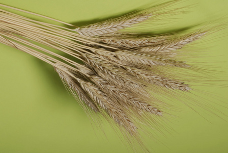 谷类植物 谷物 粮食 荞麦食品