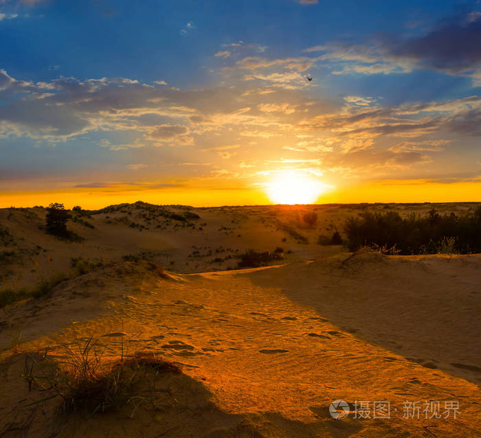 日落时的沙地沙漠场景