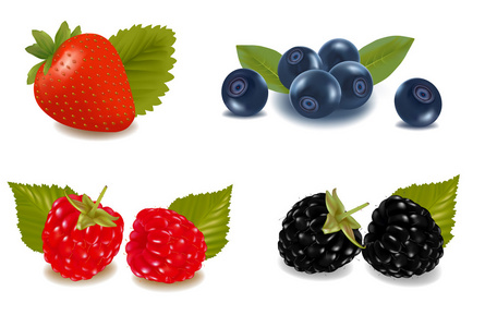 覆盆子蓝莓黑莓和草莓。