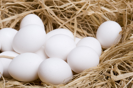 卵 egg的名词复数  蛋 卵子 卵