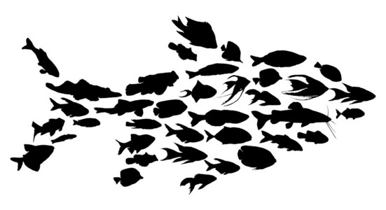 复杂黑色孤立的鱼