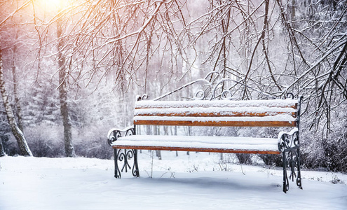 公园的长椅上和被大雪覆盖的树木