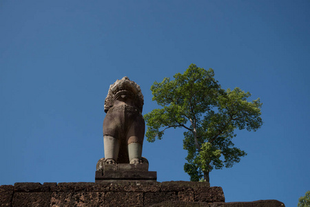 在柬埔寨寺庙的背景下, 有一棵树叶树的狮子雕像
