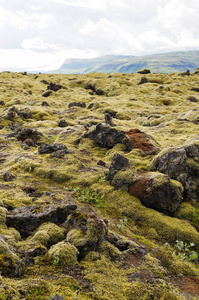 熔岩领域覆盖着绿色的苔藓，冰岛