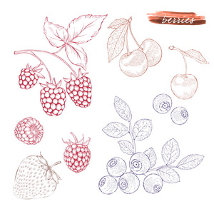一组浆果 覆盆子蓝莓草莓和 che
