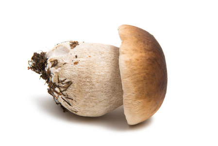 孤立的白蘑菇