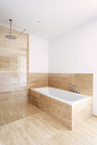 室内新公寓, 浴缸和淋浴的现代浴室
