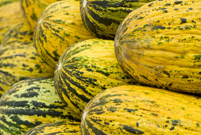 Yellow Melons