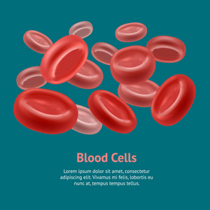 逼真的血红细胞卡海报。矢量