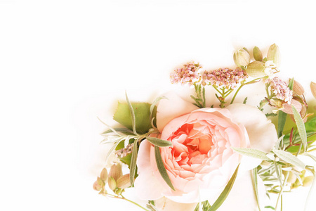 美丽的英国玫瑰花花束在白色背景。贺卡, 邀请用浅色柔和的颜色。复制空间。母亲的, 情人节, 女人的结婚日概念