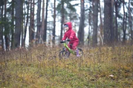 可爱的小女孩骑着 runbike 在森林里, 选择重点在草地上前景