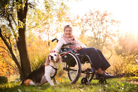 一个坐轮椅的老妇人在秋天的自然