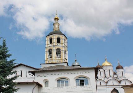 莫斯科附近帕夫努提耶夫博罗夫斯基修道院的圆顶
