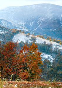第一次冬天的雪和秋天的彩色树叶在山上