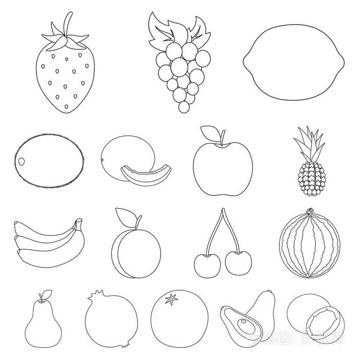 水果和维生素矢量符号股票 web 插图