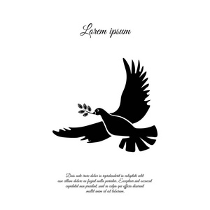 鸽子与橄榄树枝。和平的象征