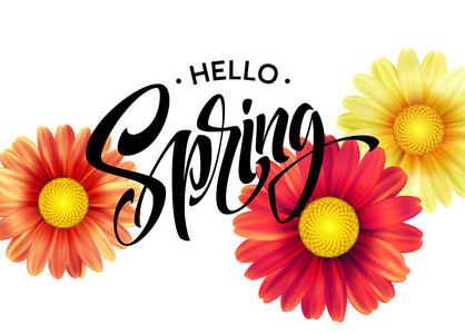 雏菊花背景和您好春天刻字。矢量插图