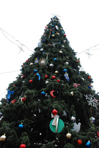 泰尔诺皮尔的圣诞树