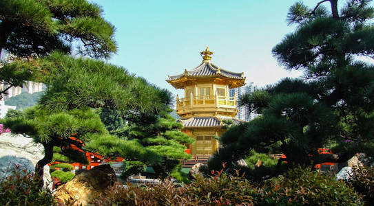 中国园林中的一座金色宝塔
