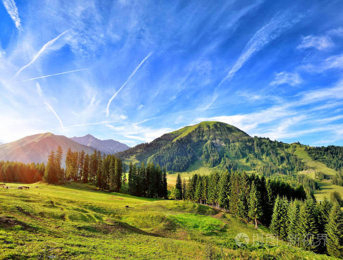 美丽的夏天山风景在阿尔卑斯山.阳光明媚的早晨照片