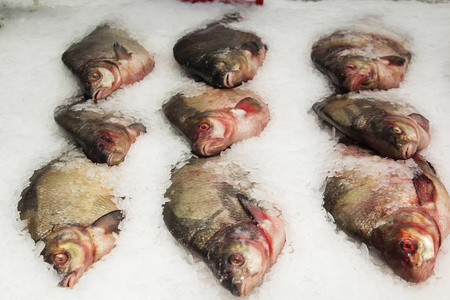 冷冻鱼。在市场上销售。冰上的海鱼。冰上的一堆生冷冻鱼