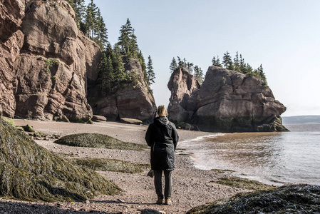 在低的著名 Hopewell 岩石 geologigal 群潮最大的潮汐波芬迪湾加拿大新不伦瑞克