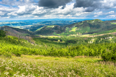 山谷风景, 城市扎科帕内全景从徒步旅行小径在 Tatra 山, 夏天, 波兰