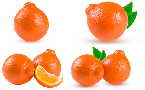 橙橘或尼奥与孤立的白色背景上的切片。集或集合
