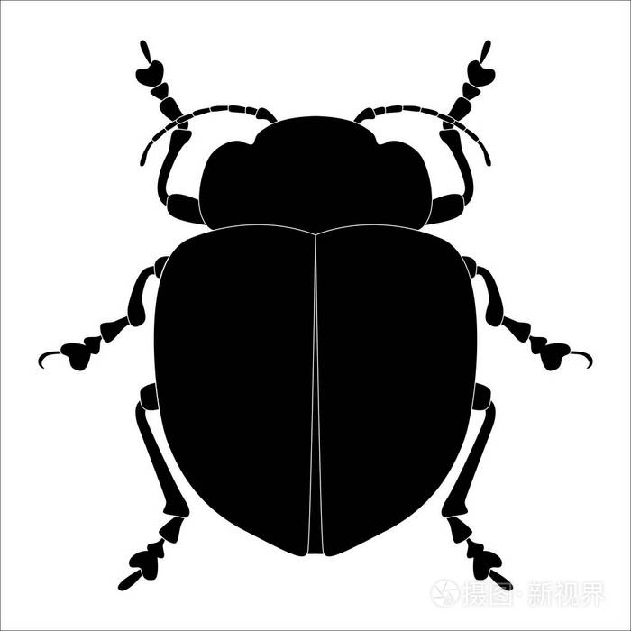 昆虫剪影.在白色背景上隔离的 bug 的草图.矢量插图