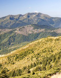 在阳光明媚的夏日的喀尔巴阡山脉全景