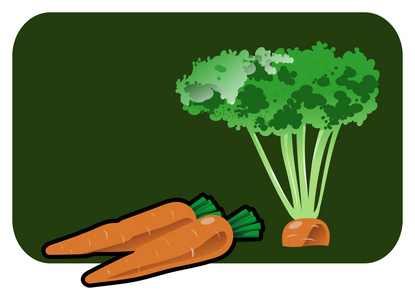胡萝卜的插图