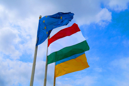 墨西哥国徽照片