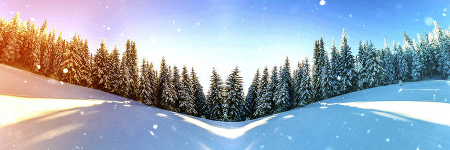松树的山水在童话冬季苏落雪
