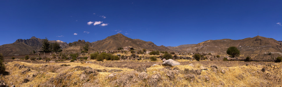 colca 谷从奇瓦伊