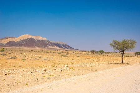 在纳米沙漠的公路旅行, 纳米 Naukluft 国家公园, 旅游目的地在纳米比亚。非洲旅游探险