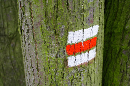 背景的木棍上的巴哈马官方国旗。位于北美洲的